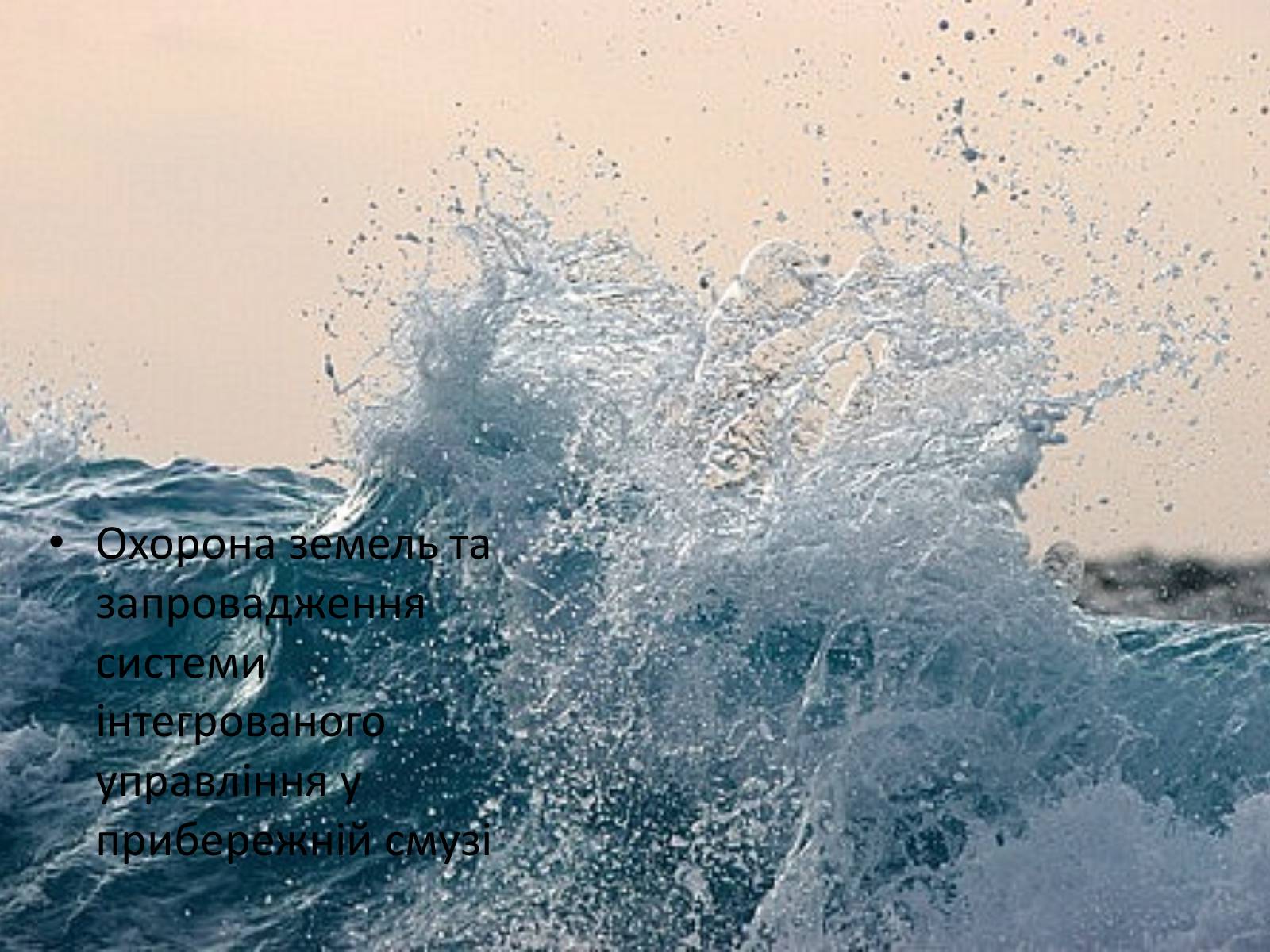 Презентація на тему «Проект збереження чорного і азовського морів» (варіант 1) - Слайд #17