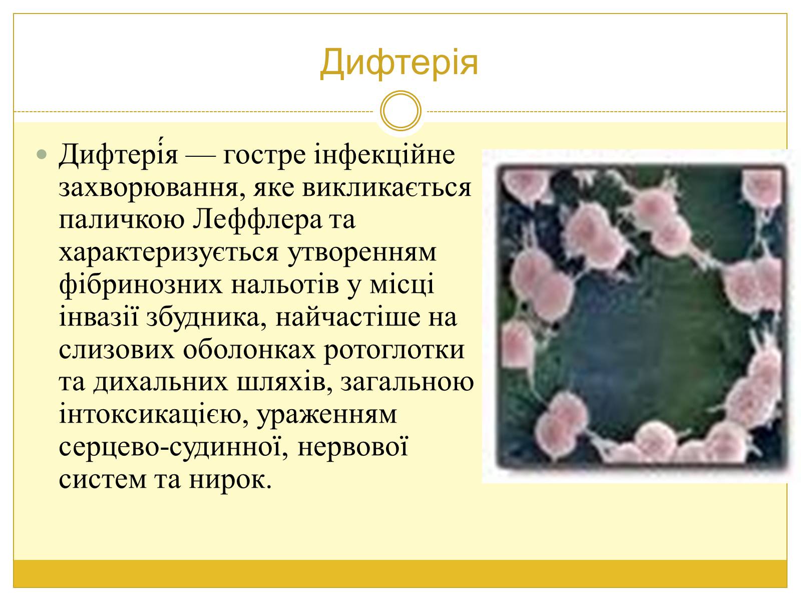Презентація на тему «Бактерії та здоров’я людини» - Слайд #10