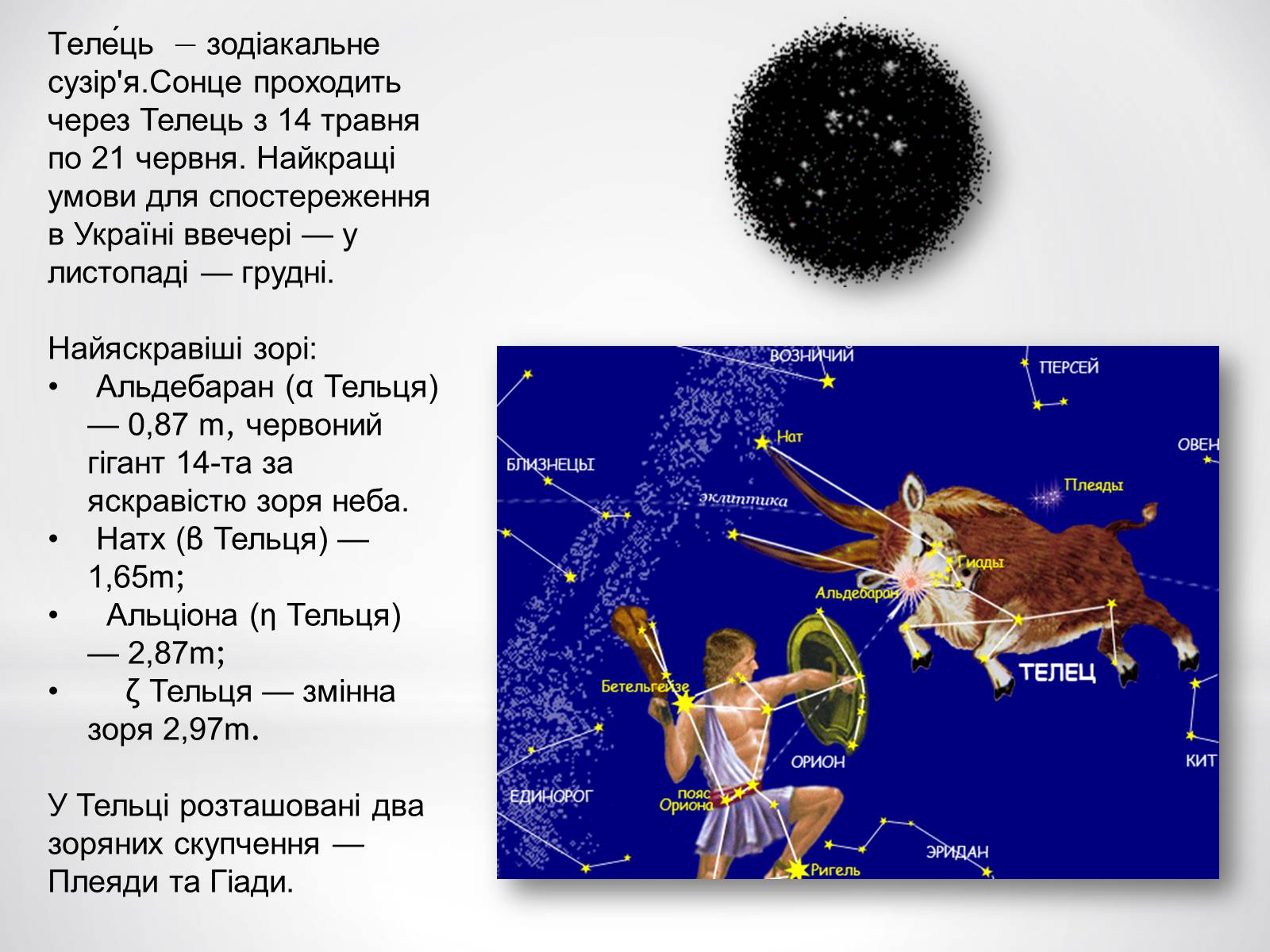 Презентація на тему «Зодіакальні сузір’я» - Слайд #4