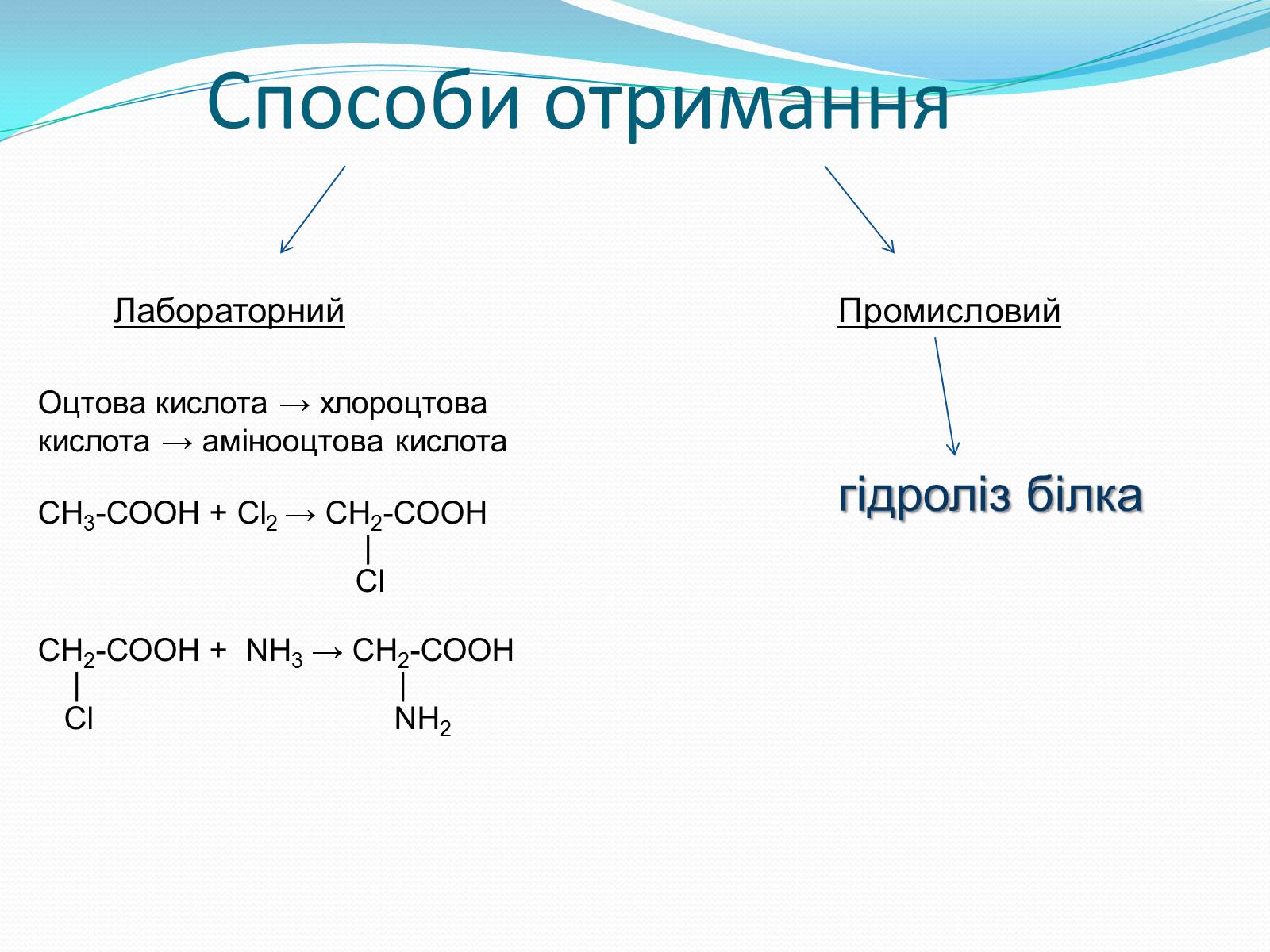 Презентація на тему «Білки та Амінокислоти» - Слайд #13