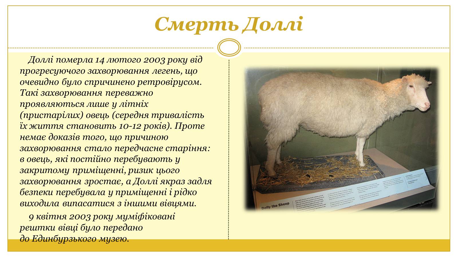 Презентація на тему «Вівця Доллі» (варіант 2) - Слайд #5