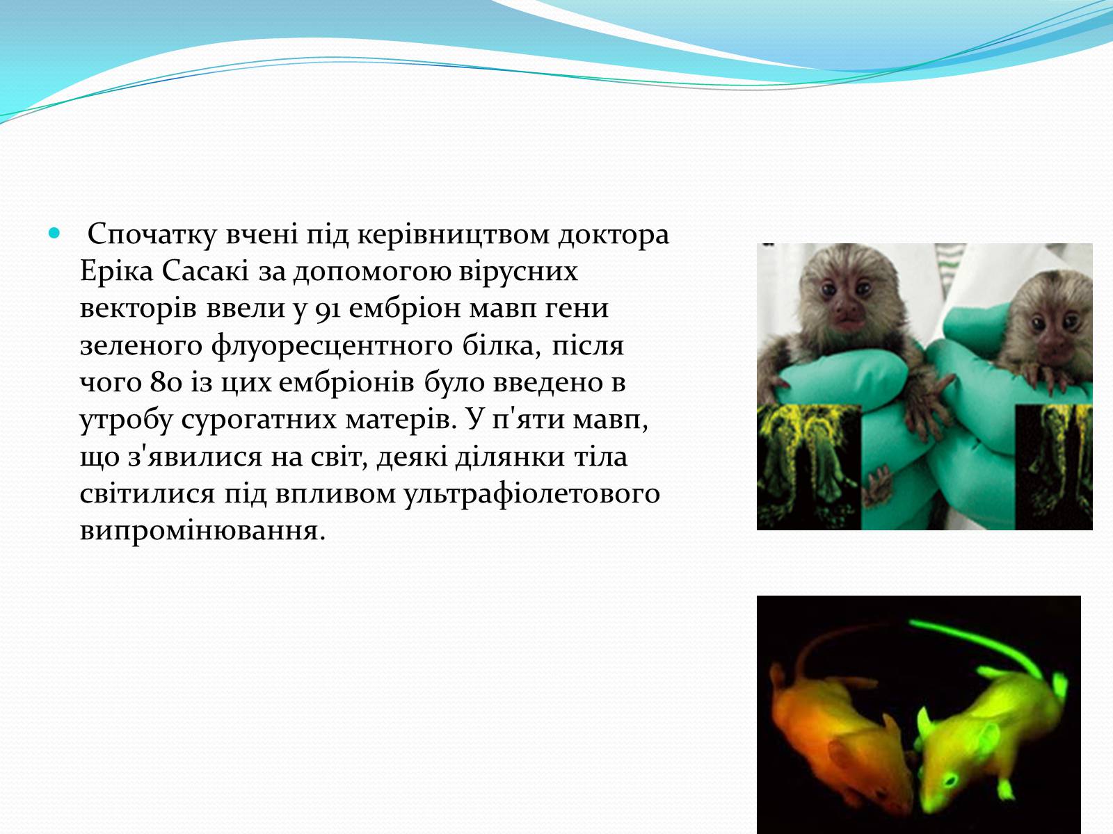 Презентація на тему «Основні напрямки сучасної біотехнології» (варіант 2) - Слайд #7