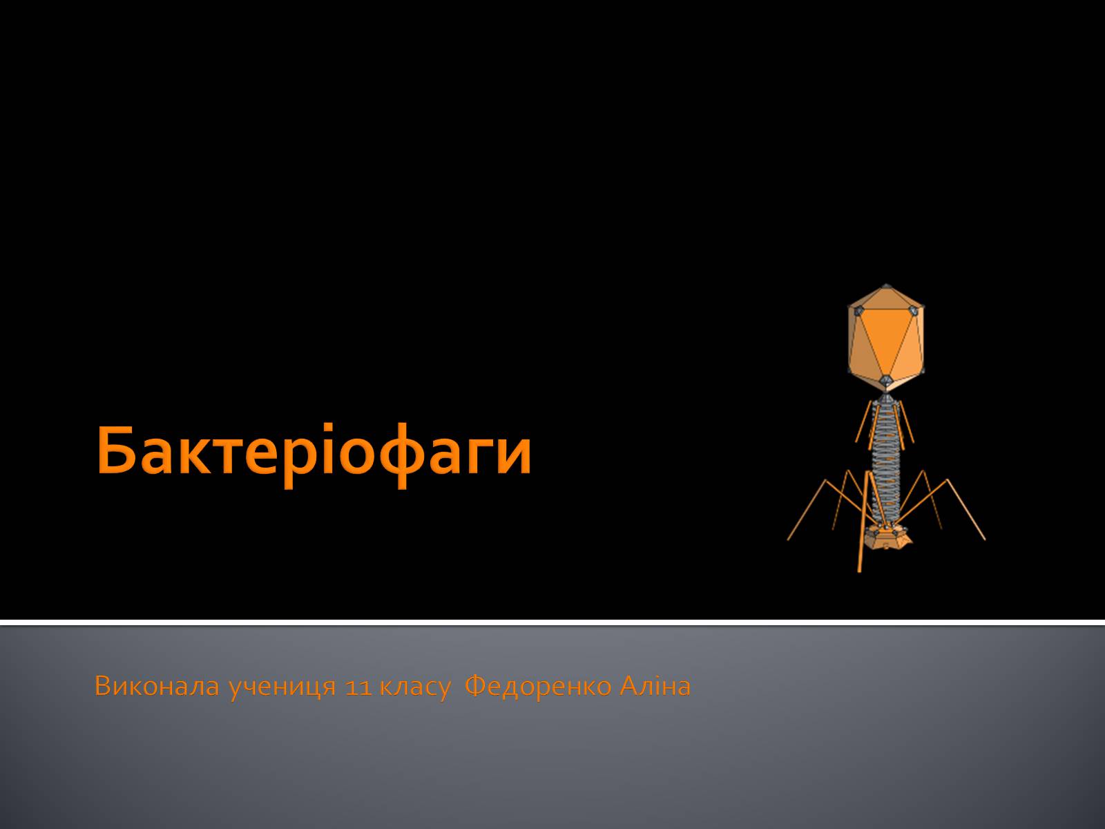Презентація на тему «Бактеріофаги» (варіант 3) - Слайд #1