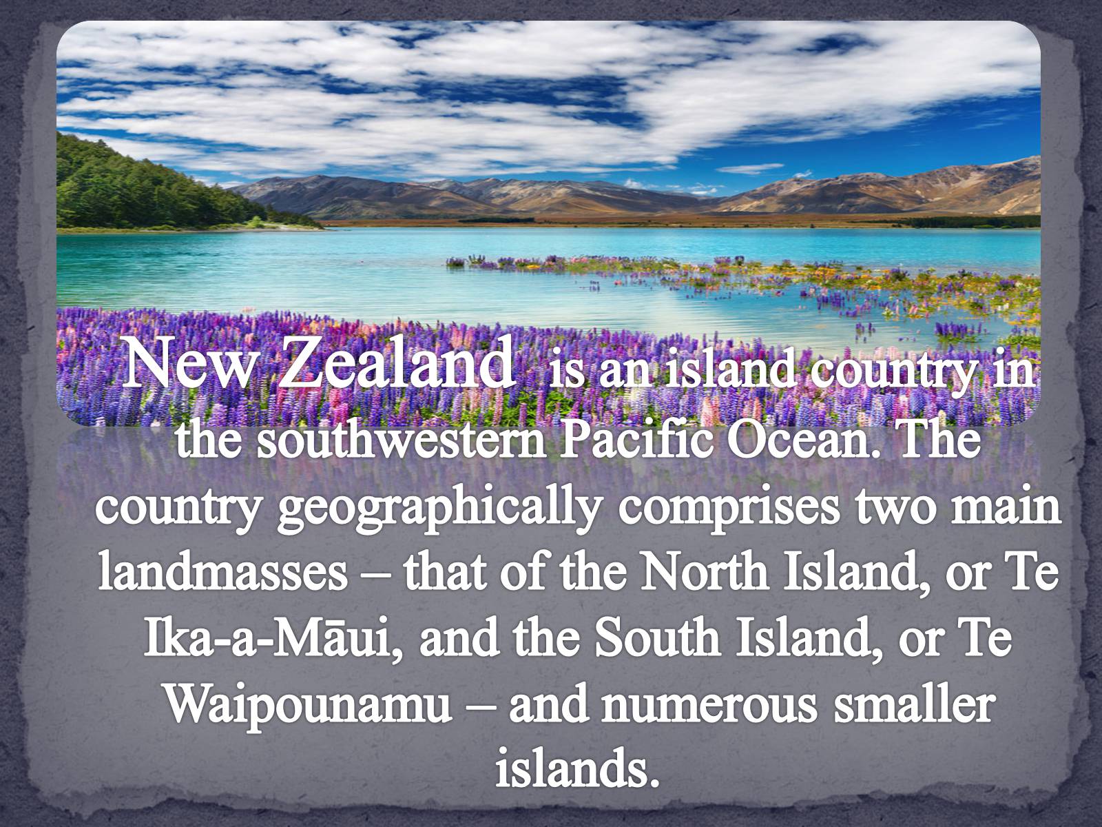 Презентація на тему «New Zealand» (варіант 3) - Слайд #3