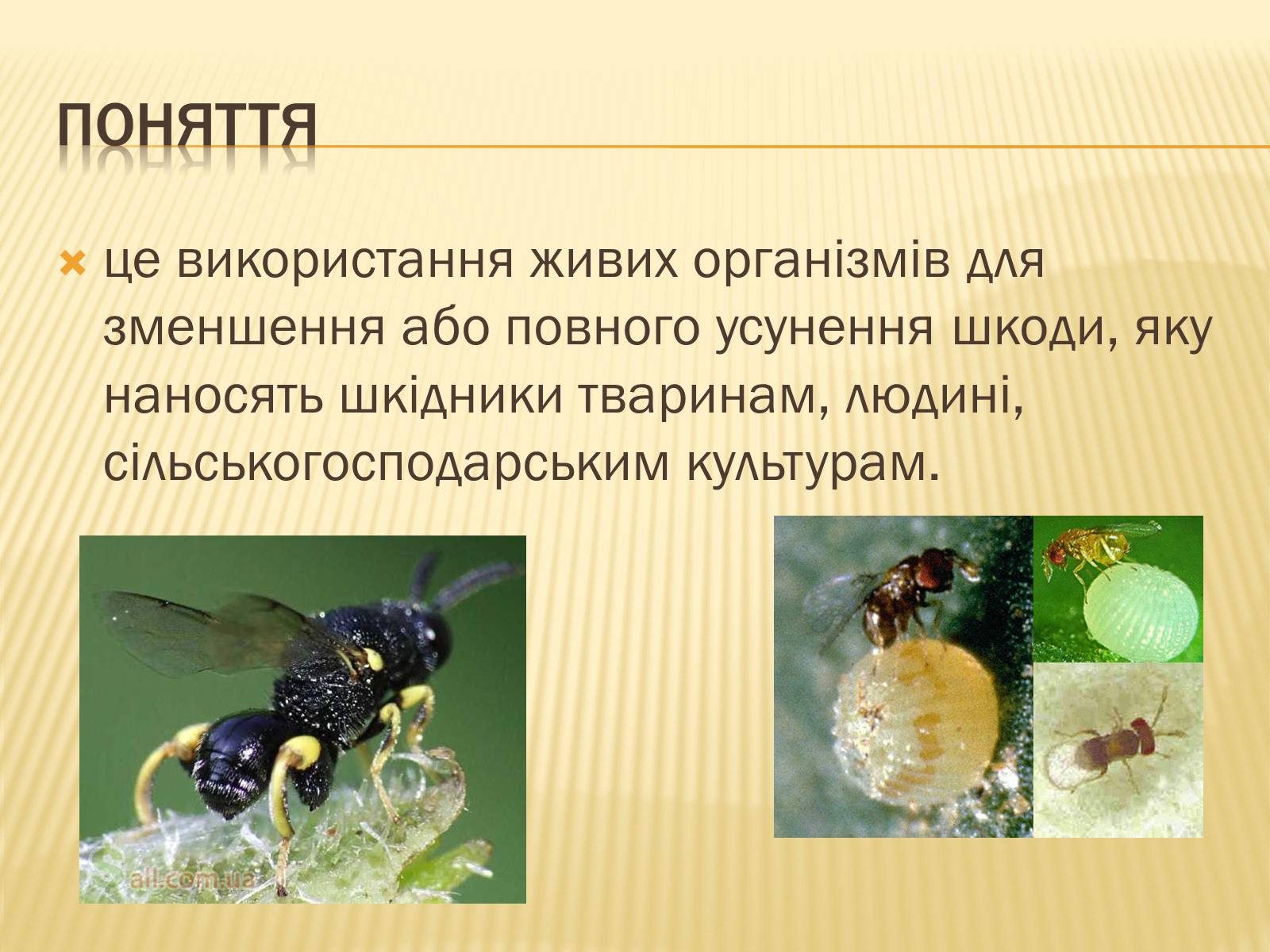 Презентація на тему «Біологічні методи боротьби зі шкідниками» - Слайд #2