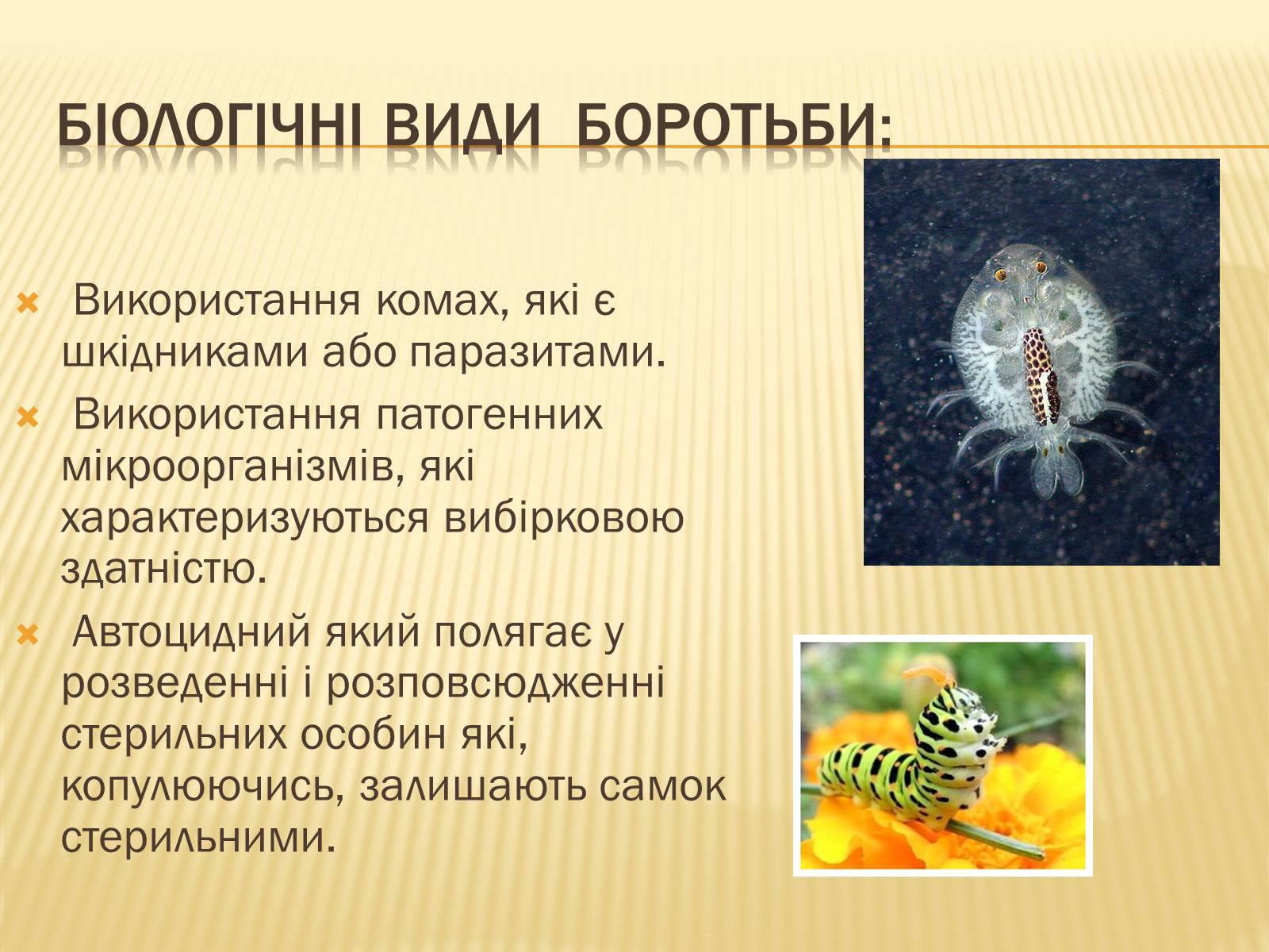 Презентація на тему «Біологічні методи боротьби зі шкідниками» - Слайд #4