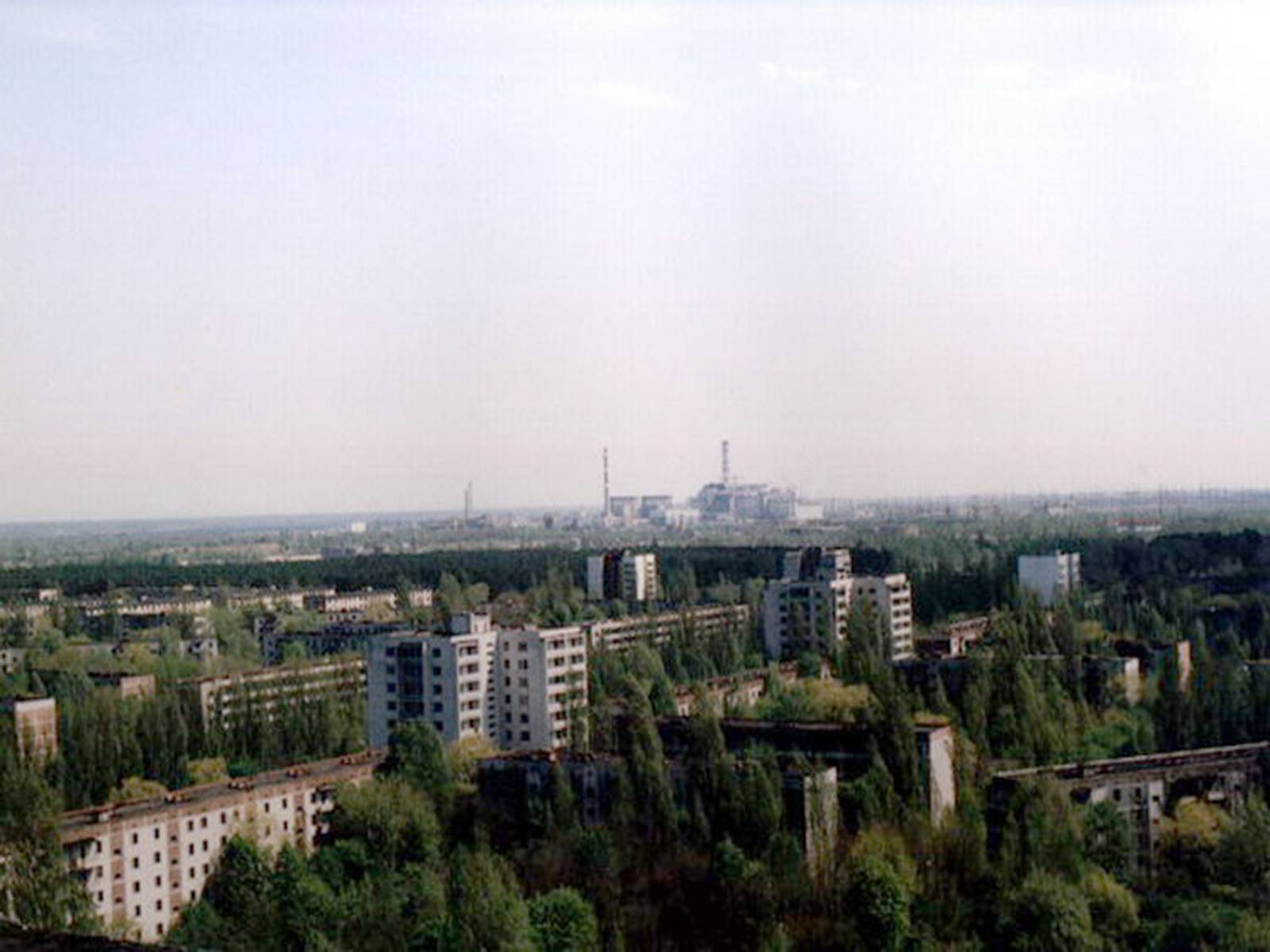 Презентація на тему «Чернобыль» - Слайд #16
