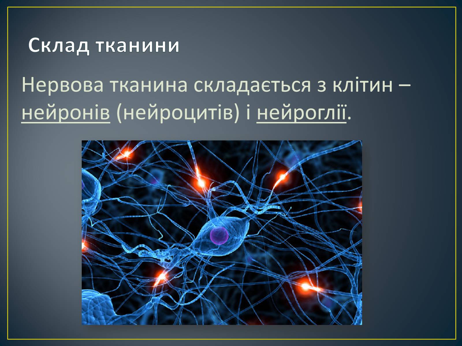 Презентація на тему «Нервова тканина» - Слайд #4