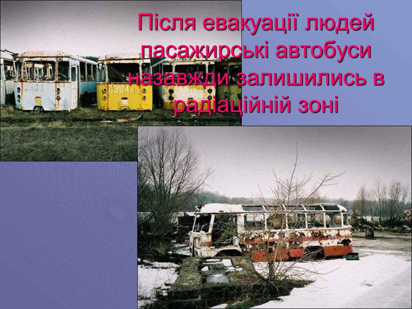 Презентація на тему «Чорнобиль. 20 років потому» - Слайд #12