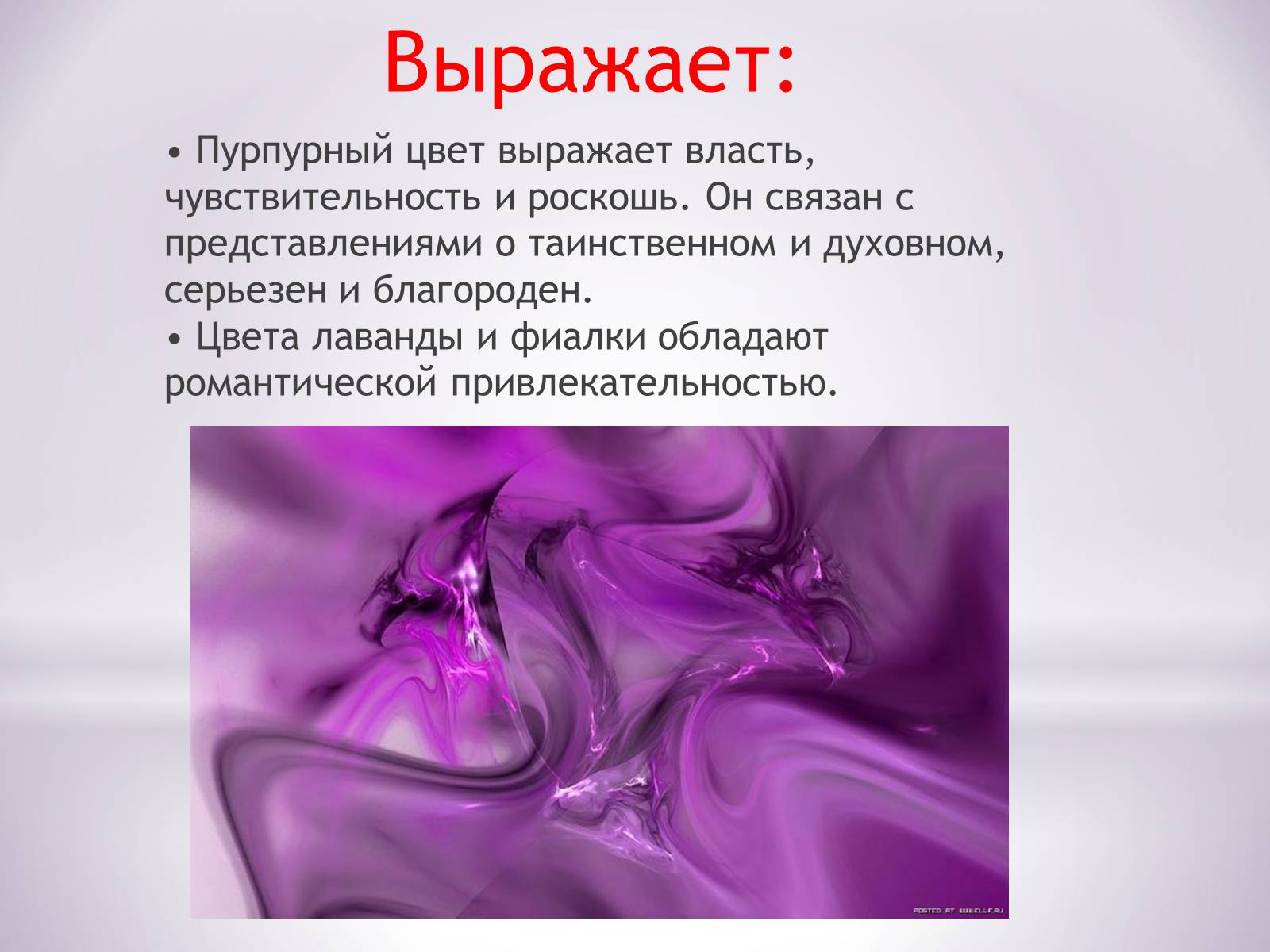 Что за цвет пурпурный фото и описание