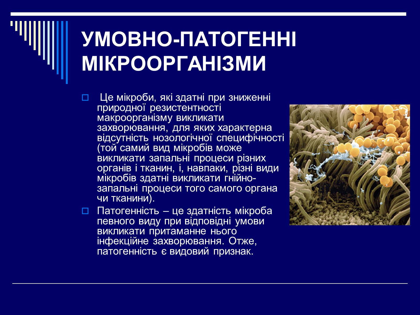 Презентація на тему «Бактеріологічна зброя» - Слайд #4
