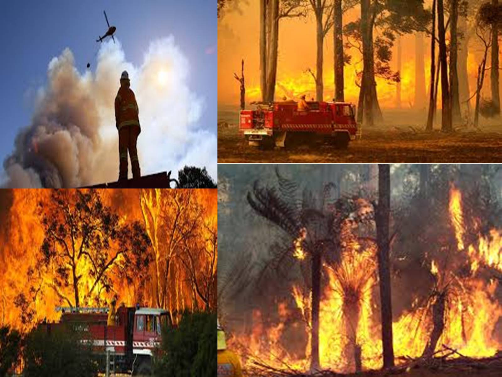 Презентація на тему «Black Saturday bushfires» - Слайд #10