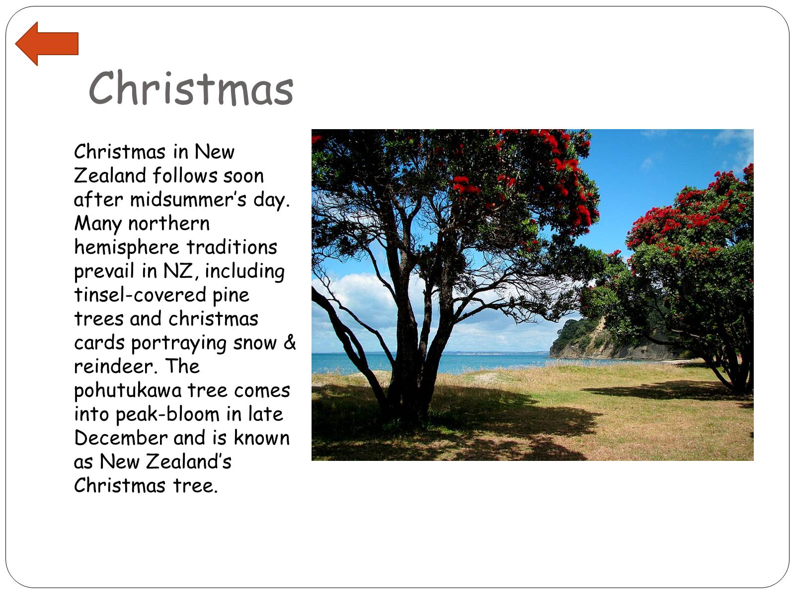 Презентація на тему «New Zealand’s Specials: A Future Sociologist’s View» - Слайд #23