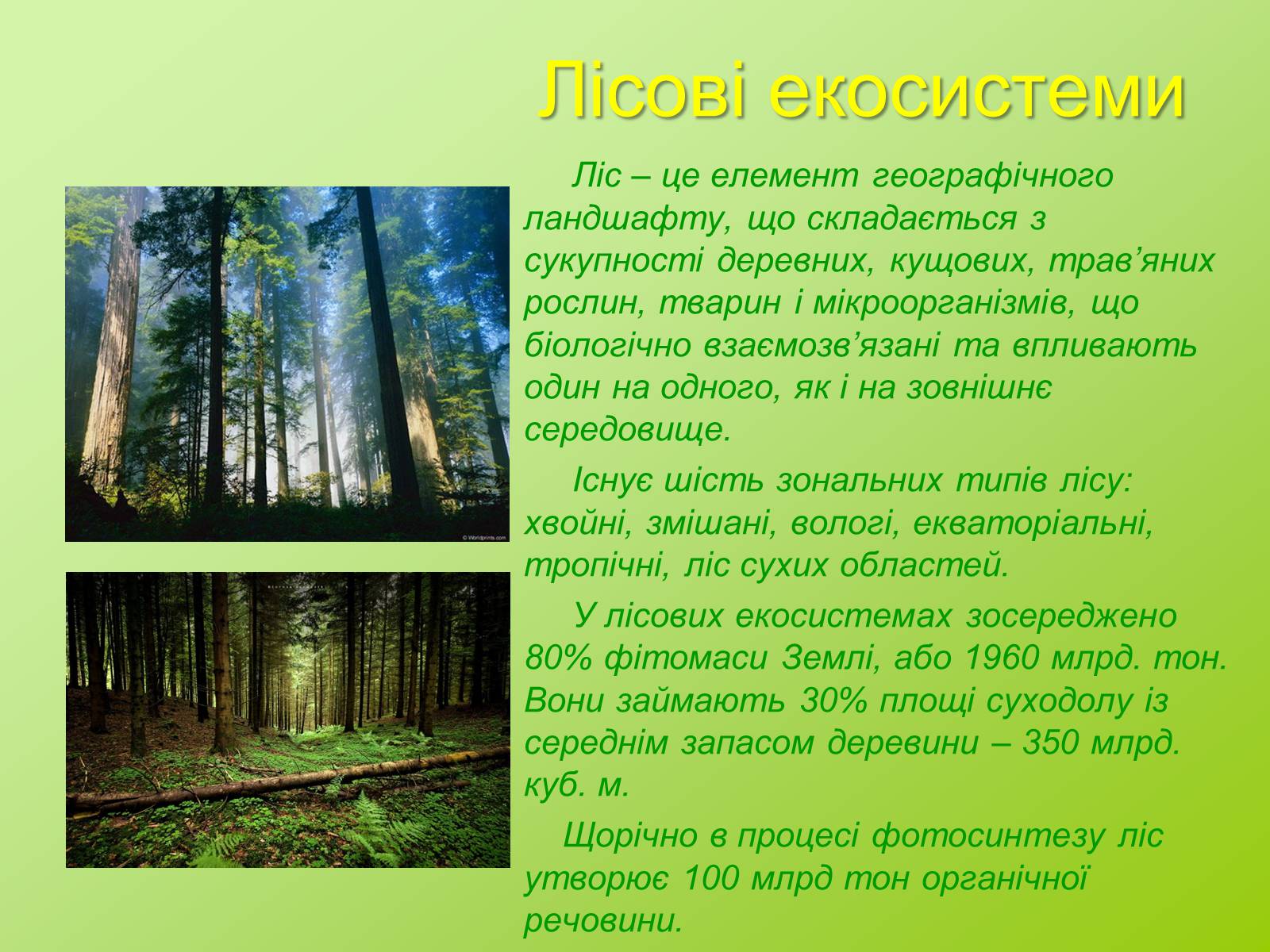 Презентація на тему «Біоценоз» - Слайд #4