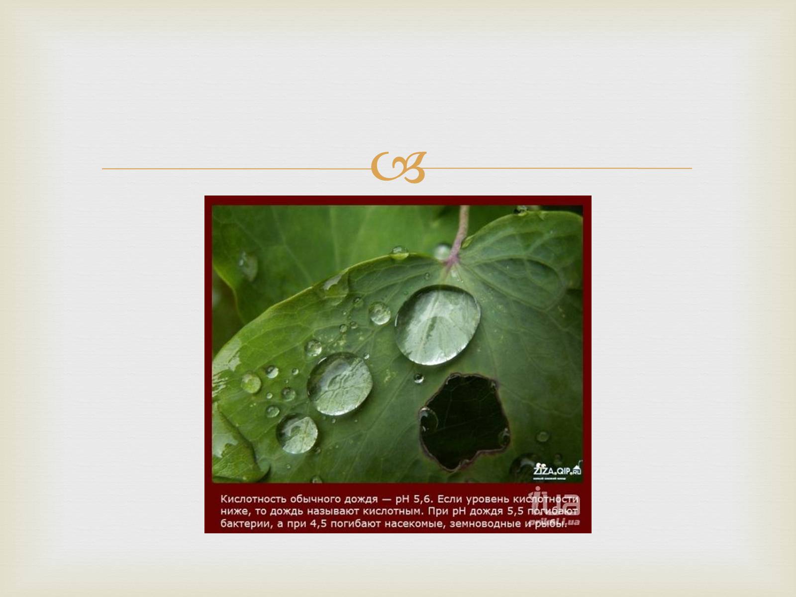 Презентація на тему «Кислотные дожди» (варіант 2) - Слайд #6