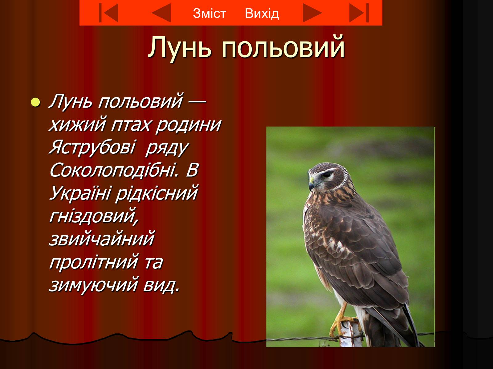 Презентація на тему «Червона книга України» (варіант 8) - Слайд #8