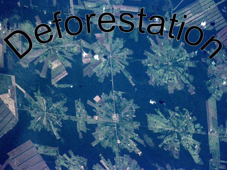Презентація на тему «Deforestation» (варіант 3) - Слайд #1