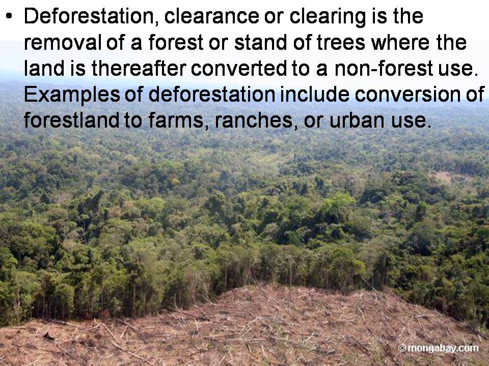 Презентація на тему «Deforestation» (варіант 3) - Слайд #2