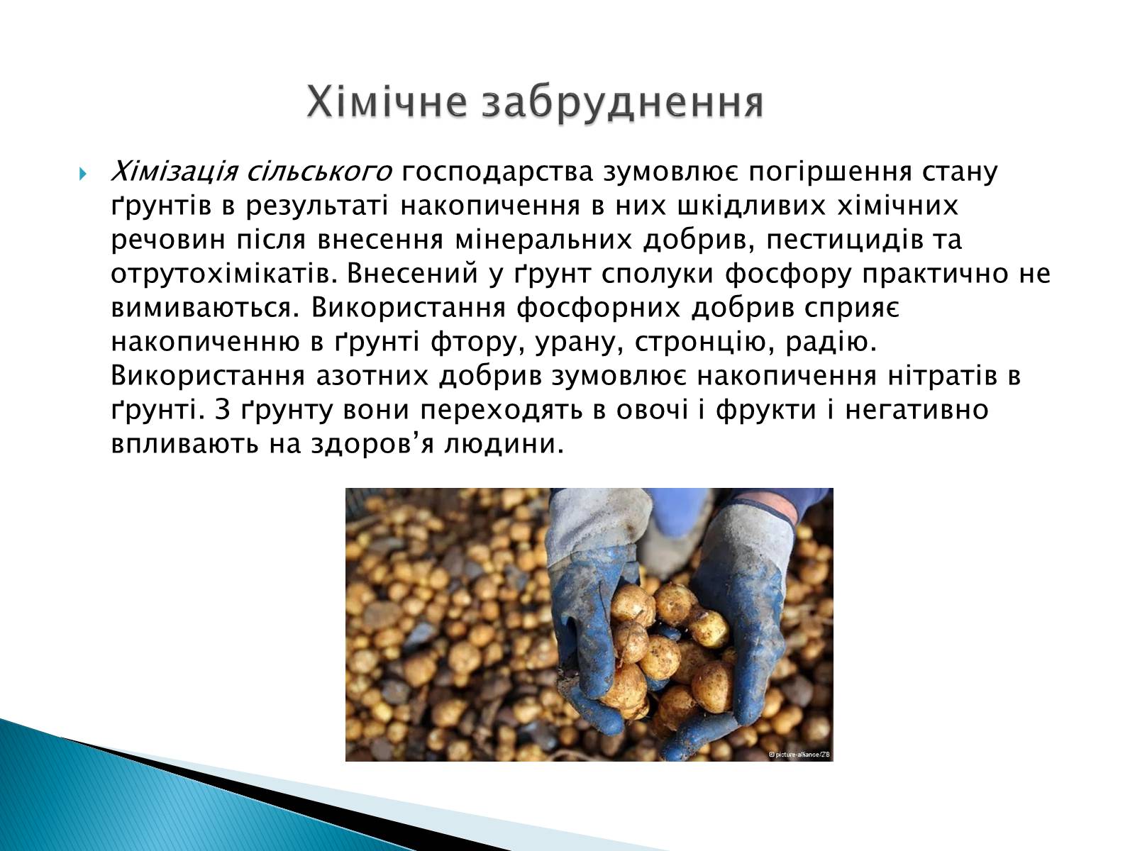 Презентація на тему «Вплив господарської діяльності на ґрунт» - Слайд #4