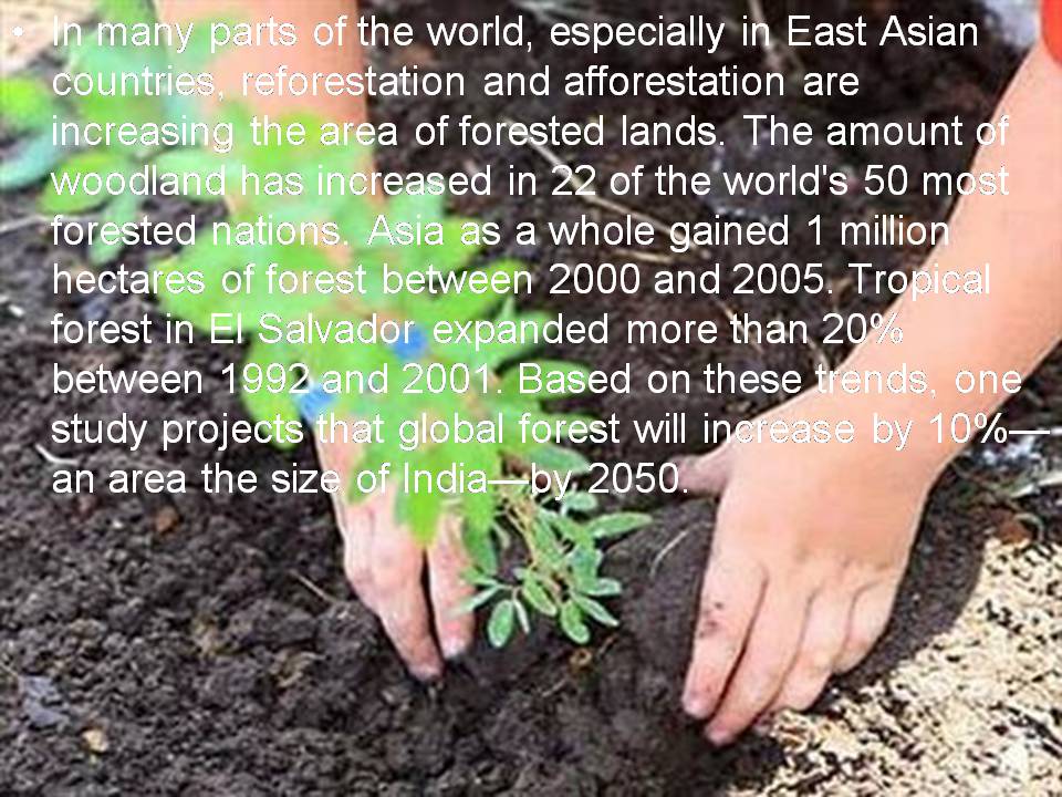 Презентація на тему «Deforestation» (варіант 3) - Слайд #6