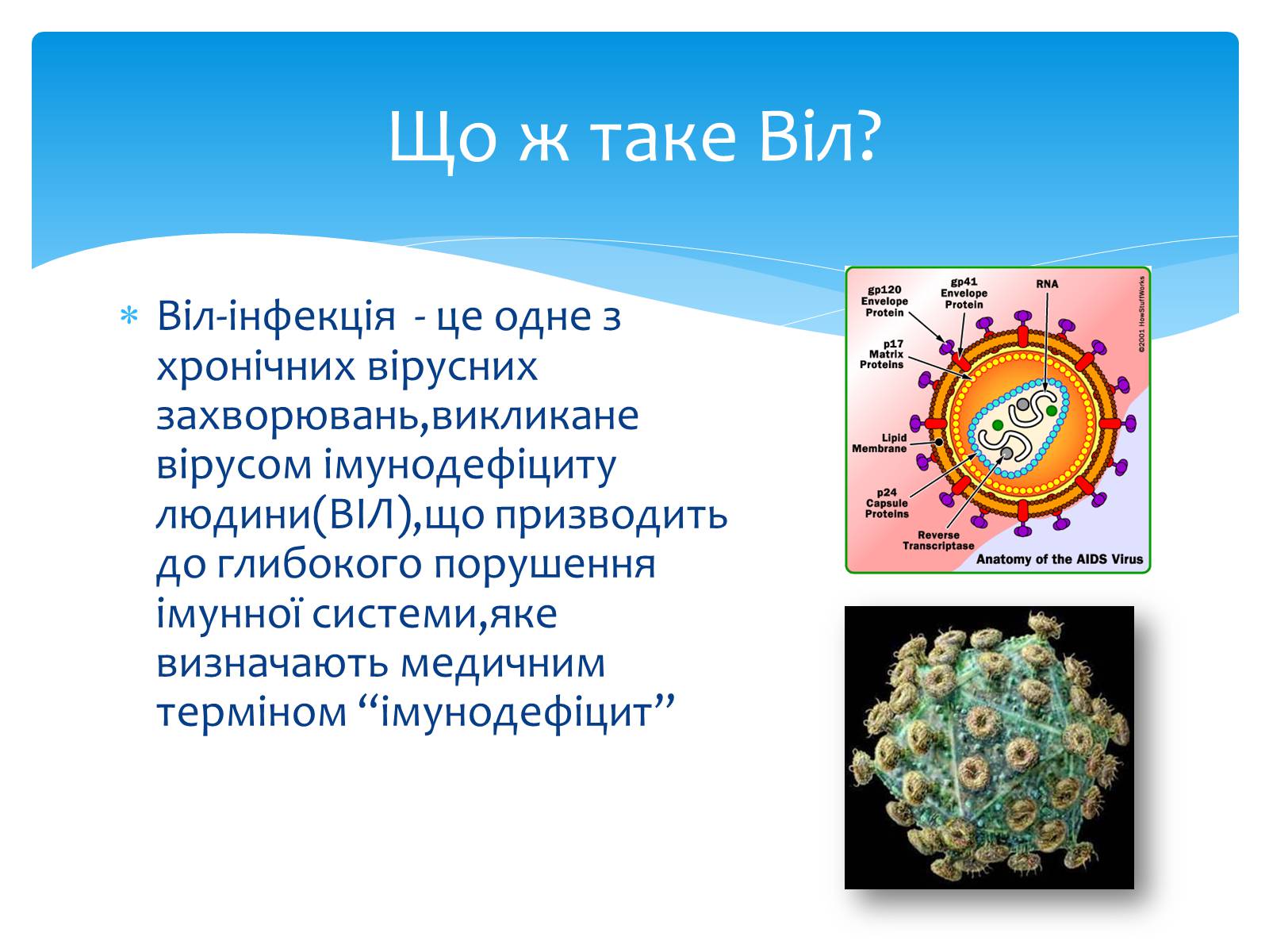 Презентація на тему «ВІЛ. СНІД. інфекції ІПСШ: шляхи передачі і методи захисту» (варіант 13) - Слайд #3