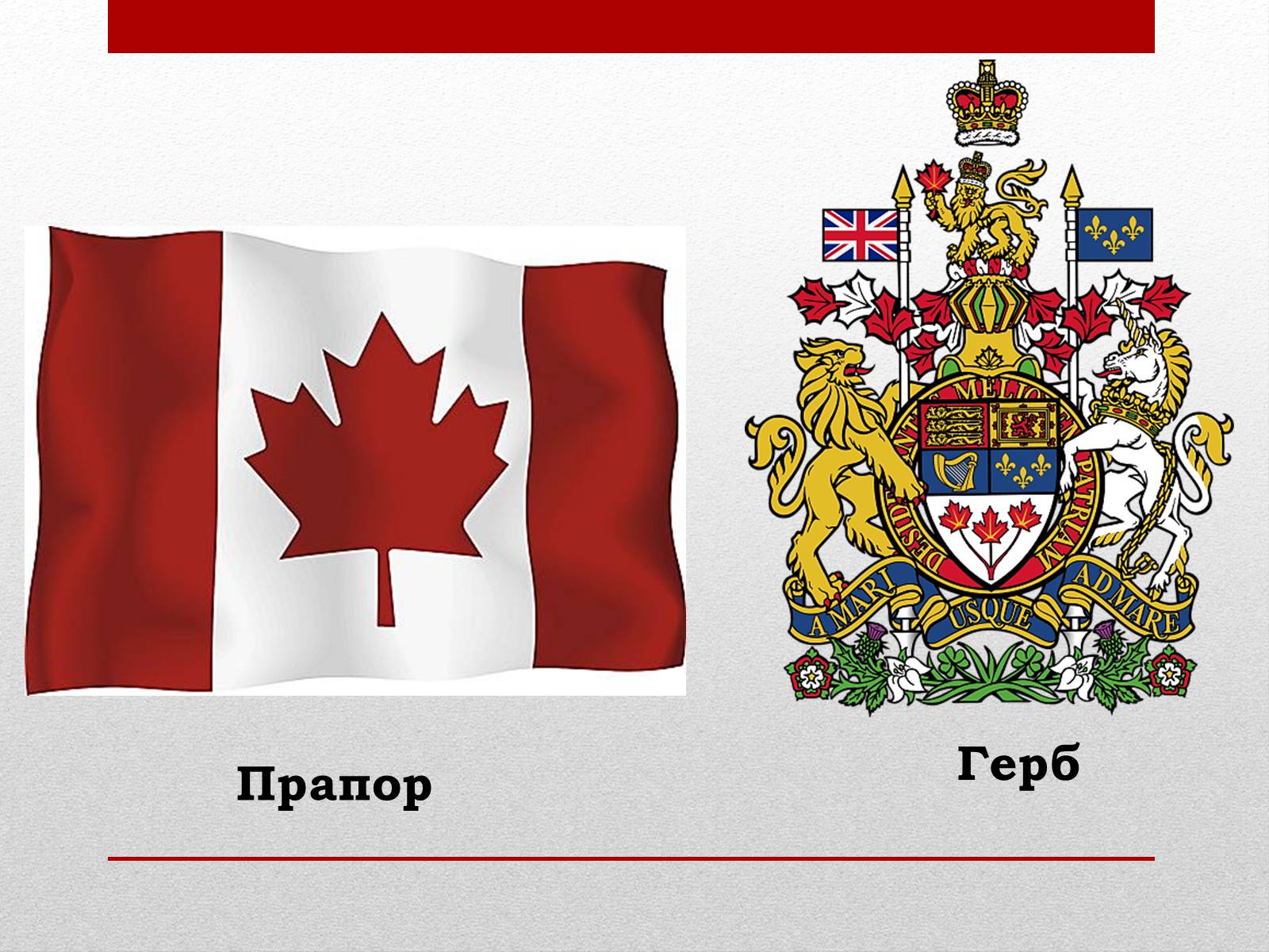 Презентація на тему «Канада» (варіант 21) - Слайд #3