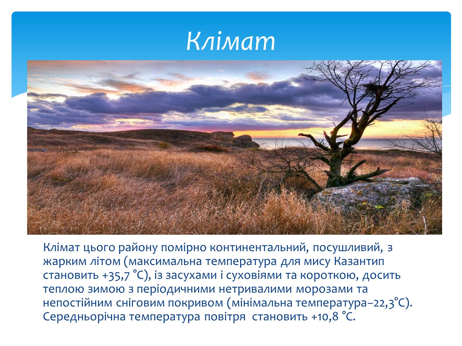 Презентація на тему «Казантипський природний заповідник» - Слайд #5