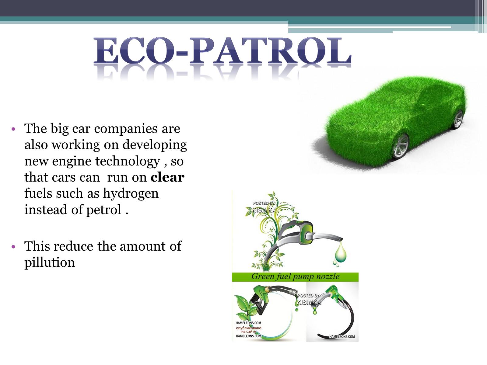 Презентація на тему «Environmentalists» - Слайд #5