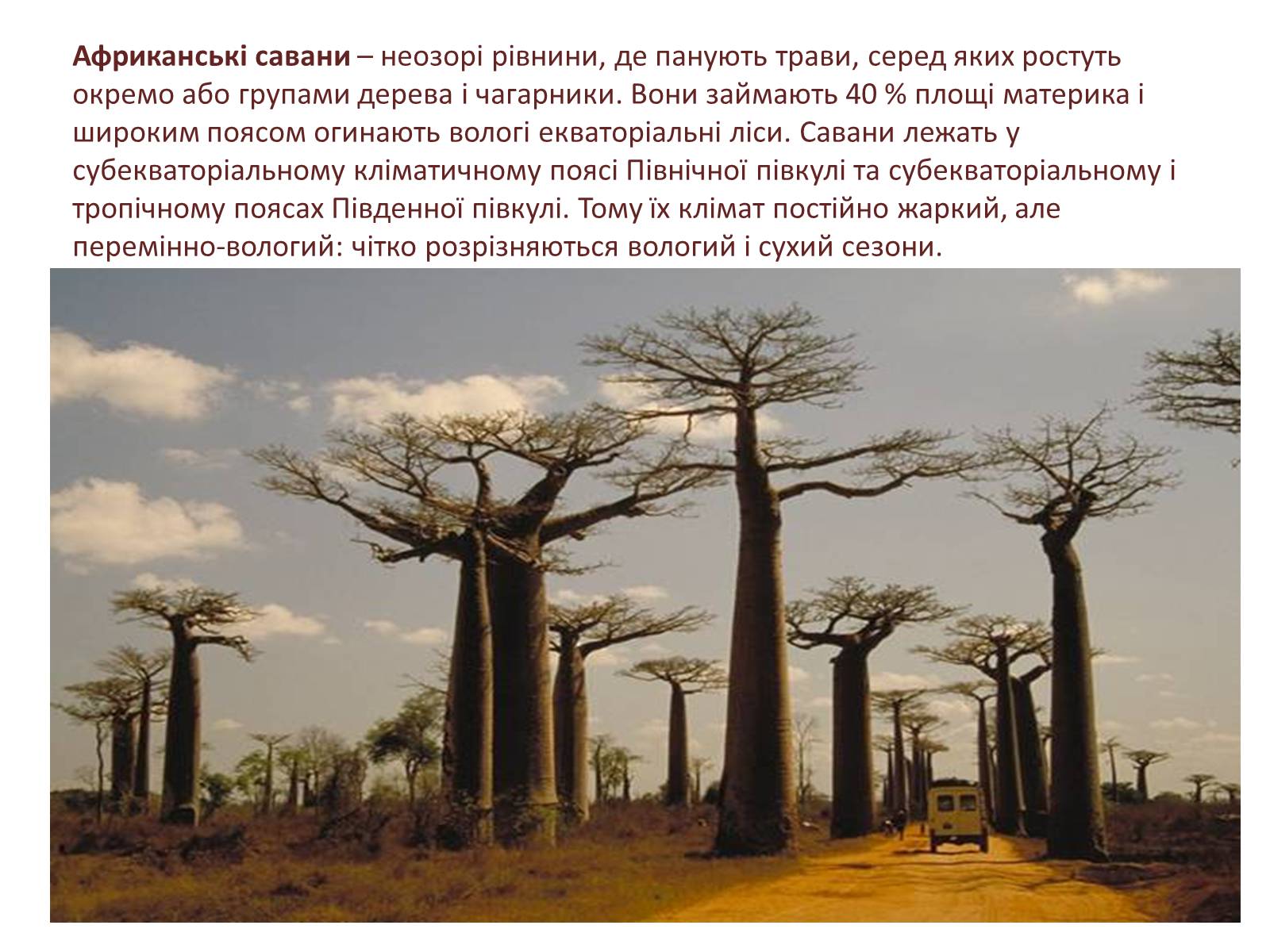 Презентація на тему «Тваринний і рослинний світ природних зон Африки» - Слайд #17