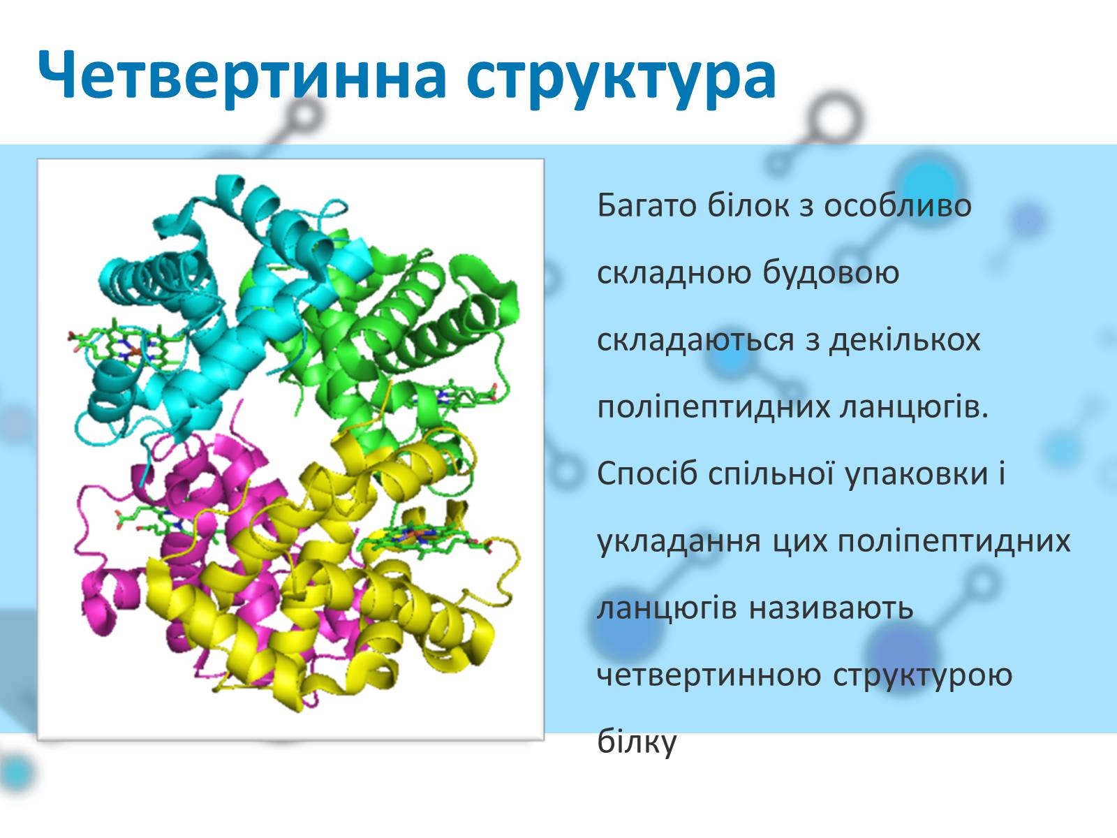 Сложные белки состав. Четвертичная структура белка химия. Четвертичная структура белка это структура. Белки химия четвертичная структура. Белок презентация.