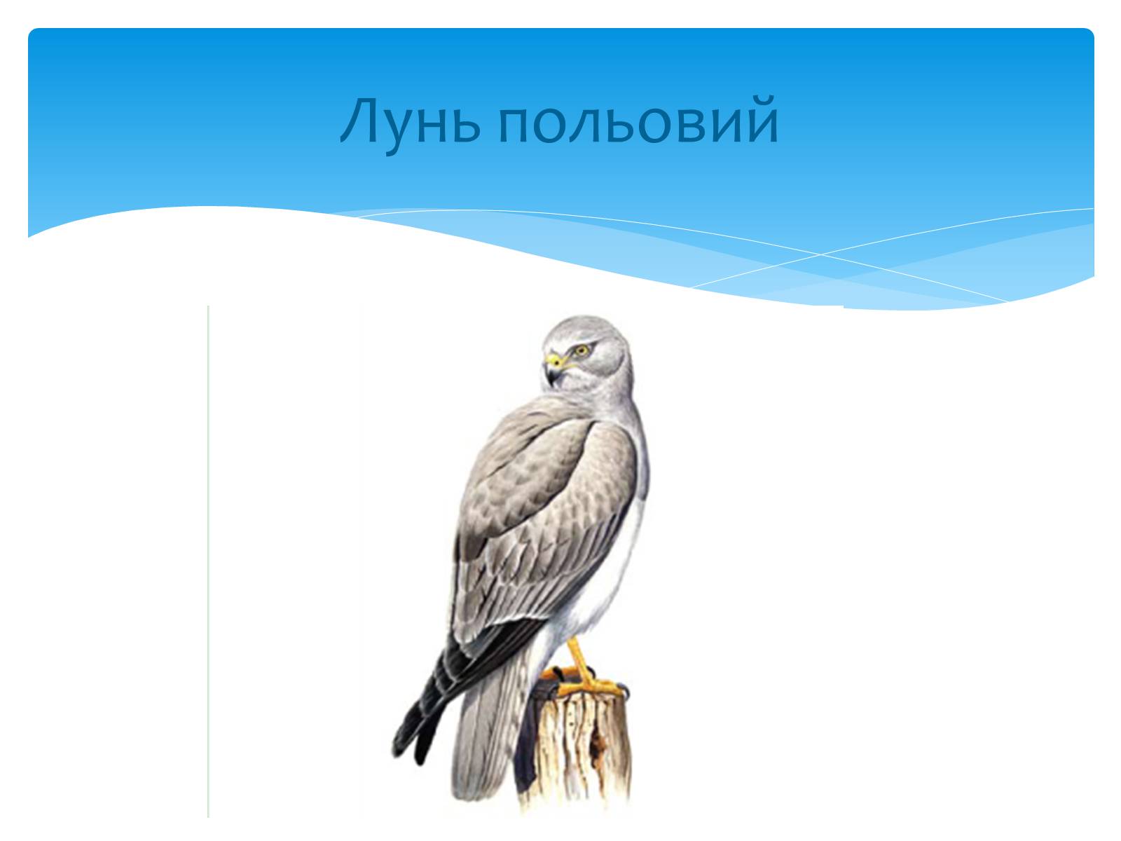 Презентація на тему «Казантипський природний заповідник» - Слайд #30