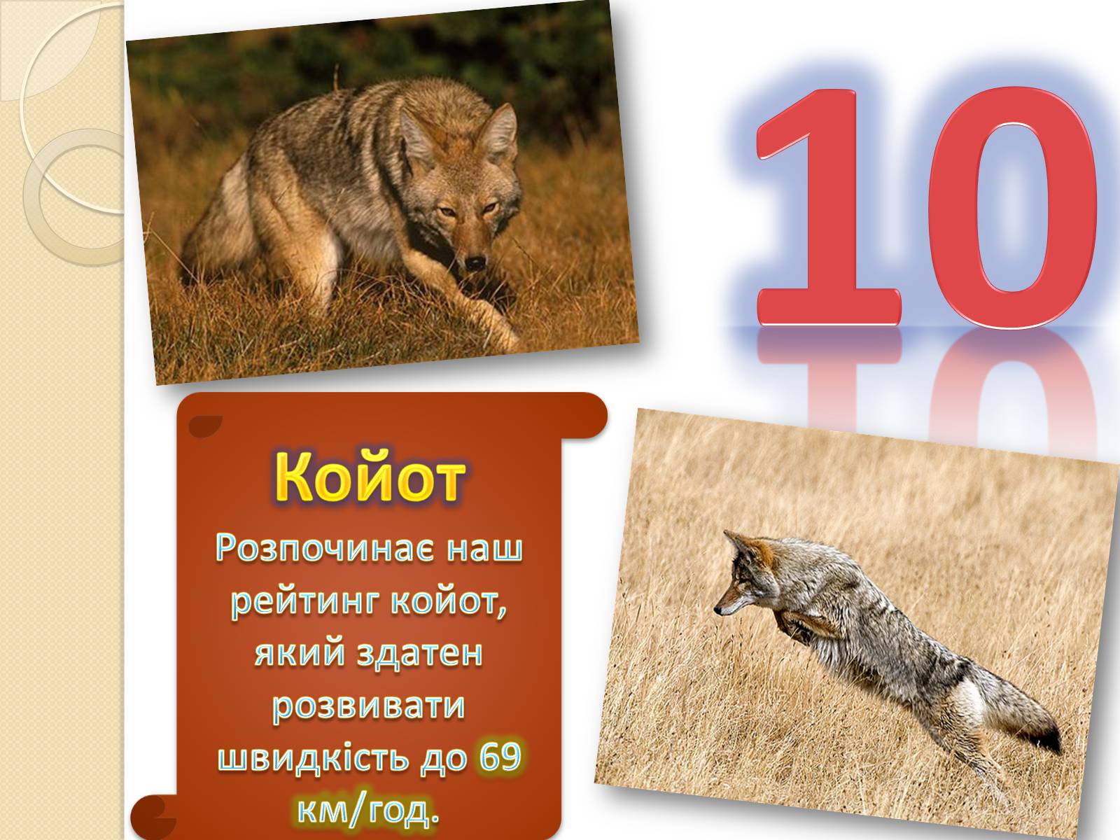 Презентація на тему «Топ-10 найшвидших тварини планети» - Слайд #2