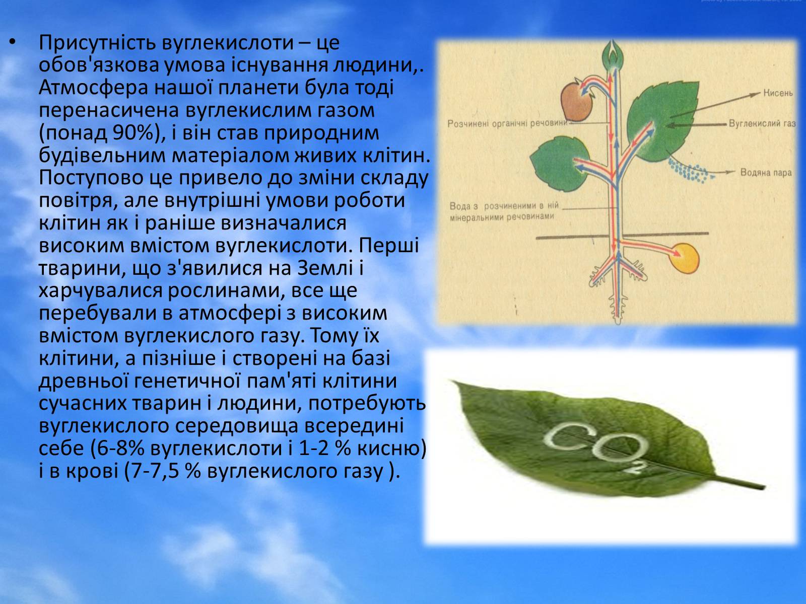 Презентація на тему «Джерела забруднення атмосферного повітря в Україні (Києві)» - Слайд #14