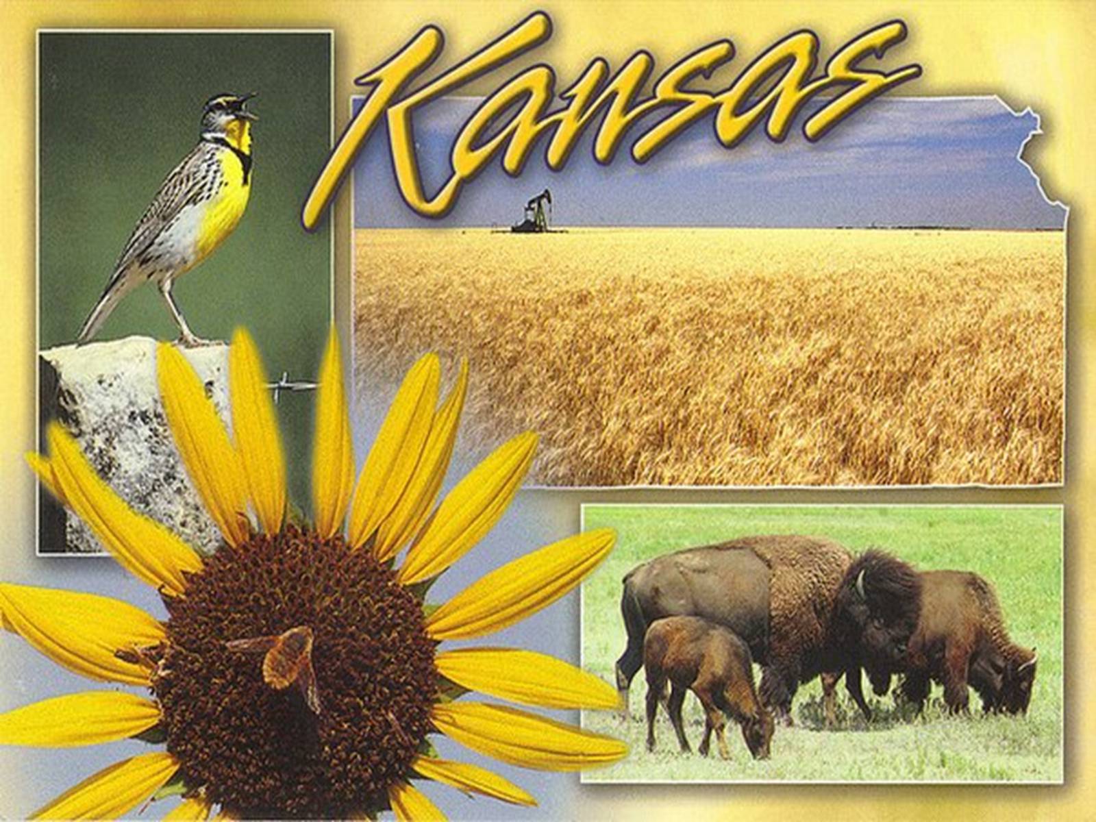 Презентація на тему «Канзас» - Слайд #1