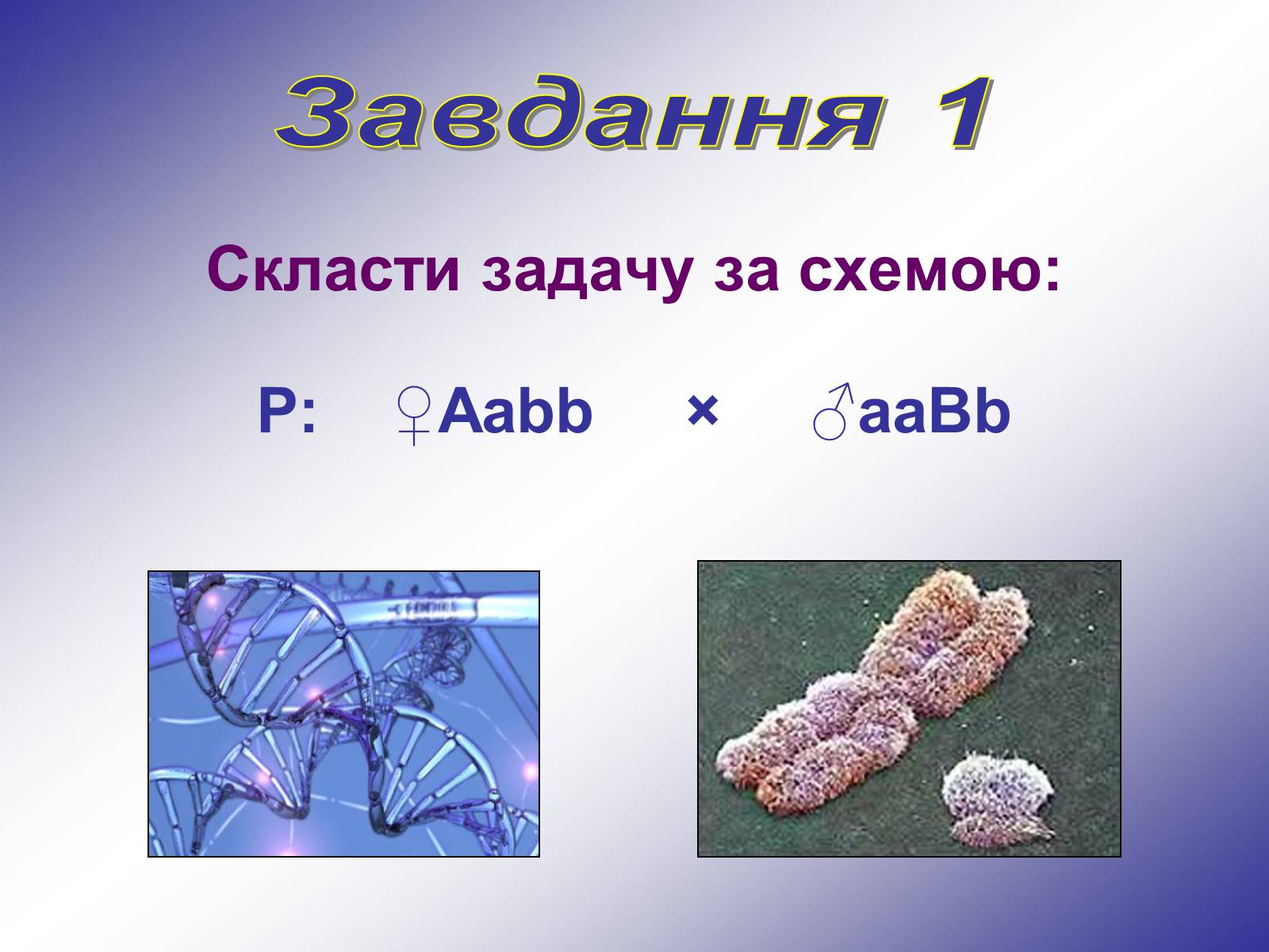 Презентація на тему «Генетика людини» (варіант 1) - Слайд #8