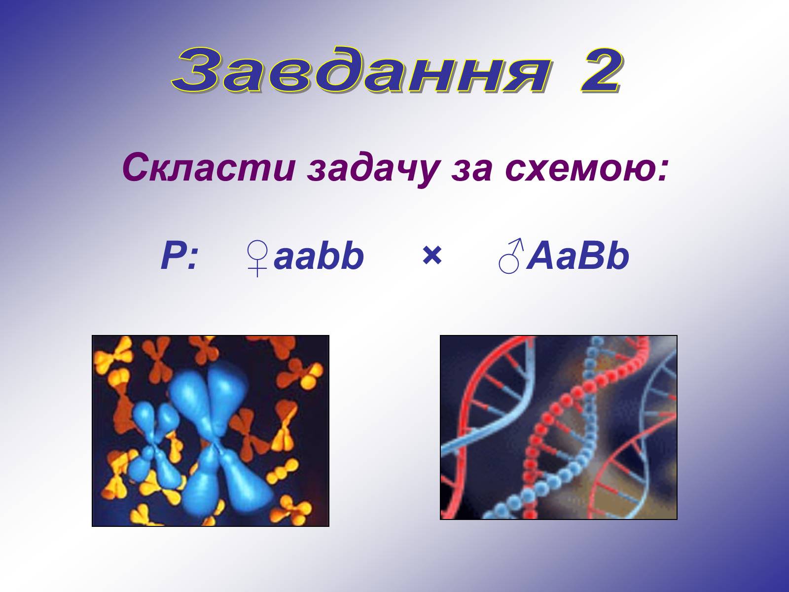 Презентація на тему «Генетика людини» (варіант 1) - Слайд #9
