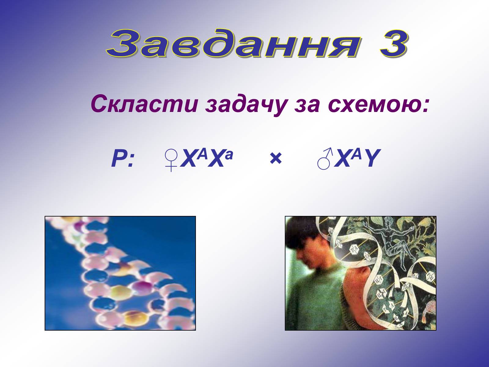 Презентація на тему «Генетика людини» (варіант 1) - Слайд #10