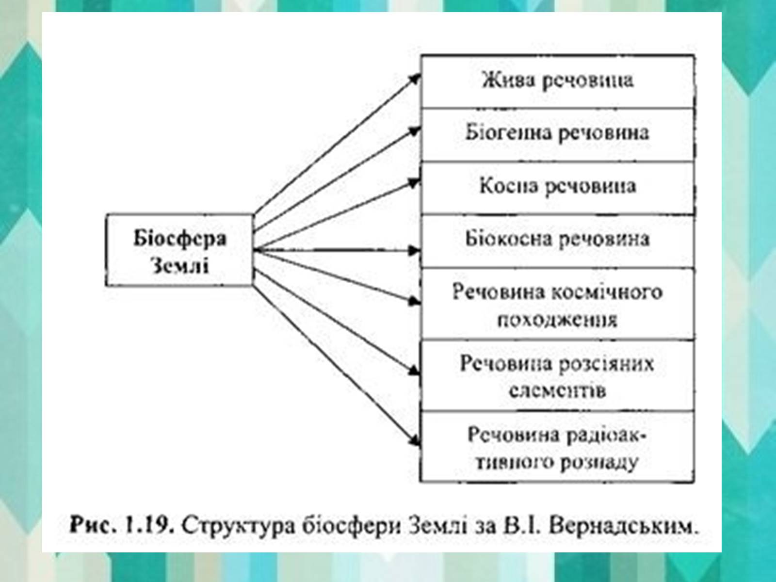 Презентація на тему «Вклад в екологію В.І. Вернадського та його випередження часу» - Слайд #5