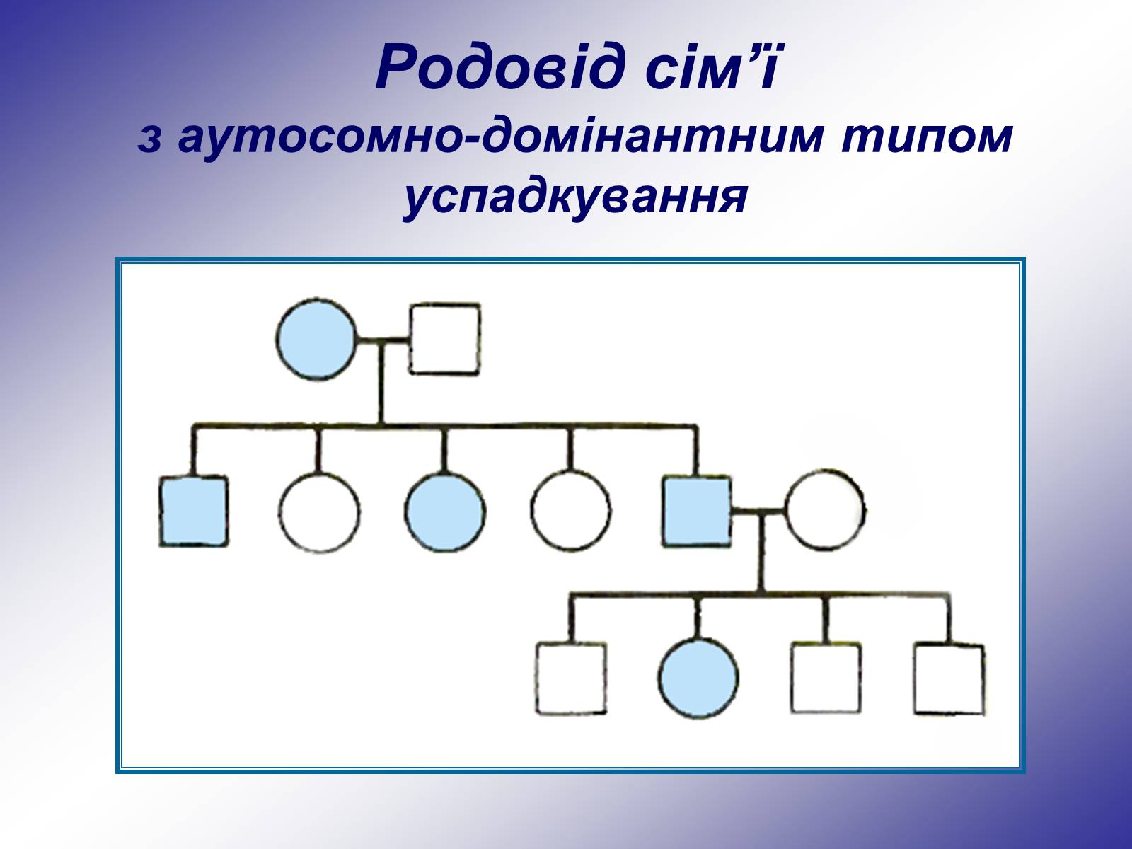 Презентація на тему «Генетика людини» (варіант 1) - Слайд #16