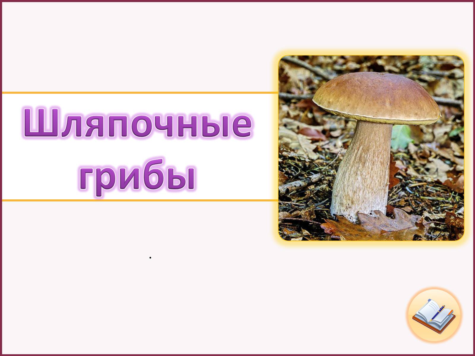 Слайд Шляпочные грибы