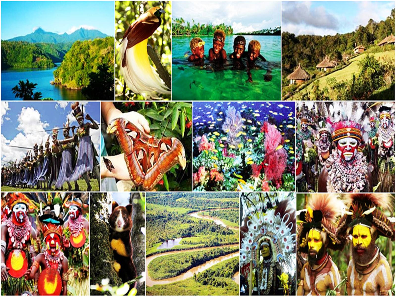 Презентація на тему «Папуа Нова Гвінея» - Слайд #10