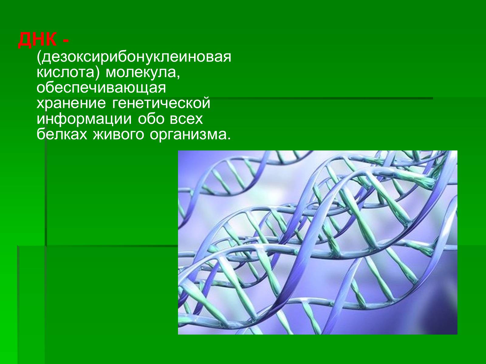 Презентація на тему «Генетически модифицированные объекты» - Слайд #5