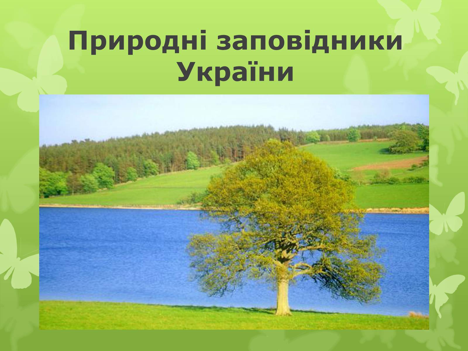Презентація на тему «Природні заповідники України» (варіант 1) - Слайд #1