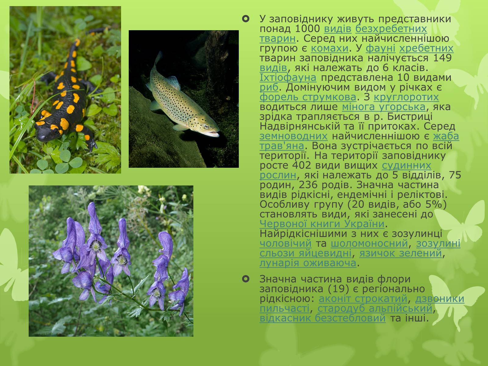 Презентація на тему «Природні заповідники України» (варіант 1) - Слайд #3