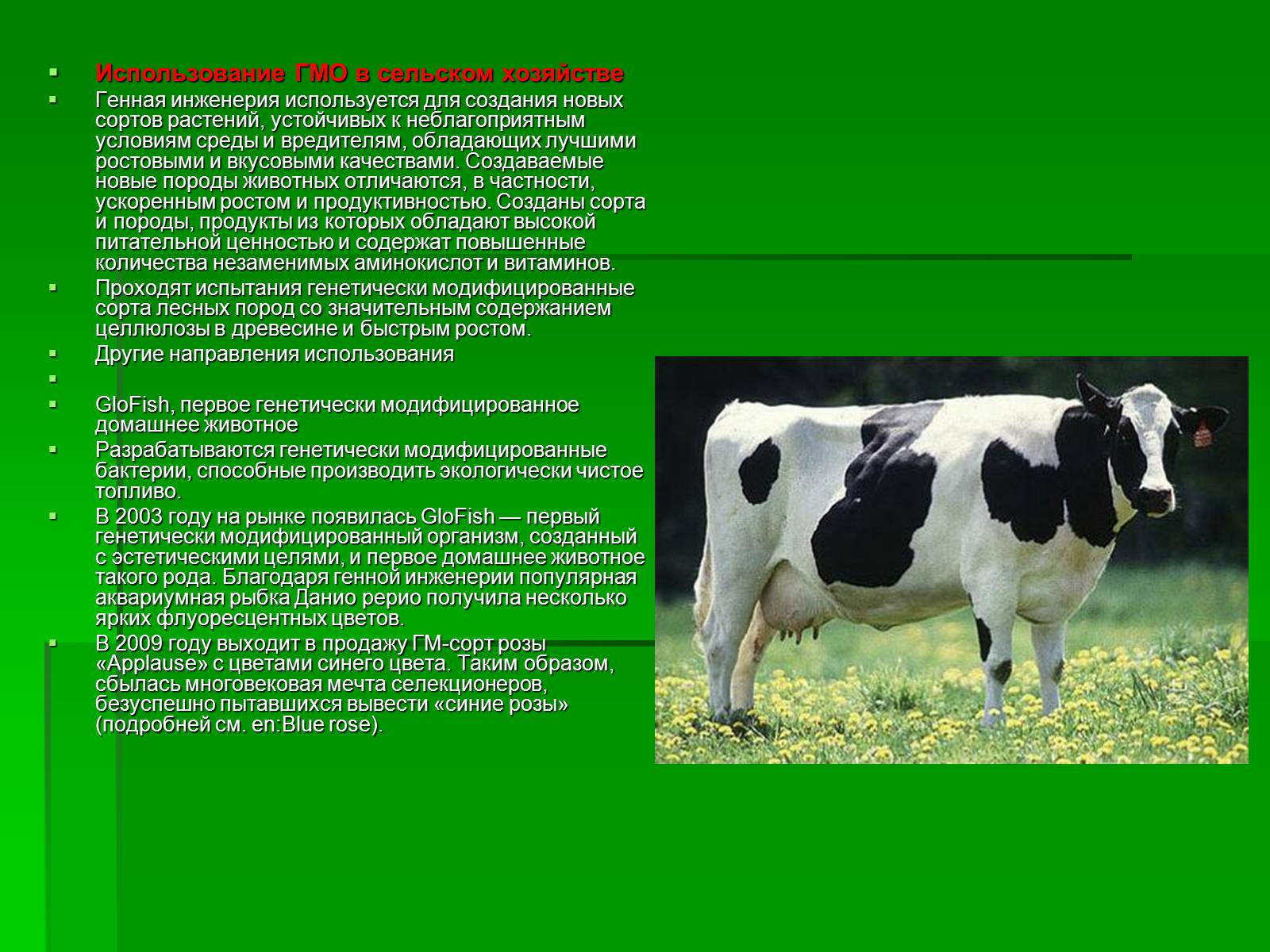 Презентація на тему «Генетически модифицированные объекты» - Слайд #17
