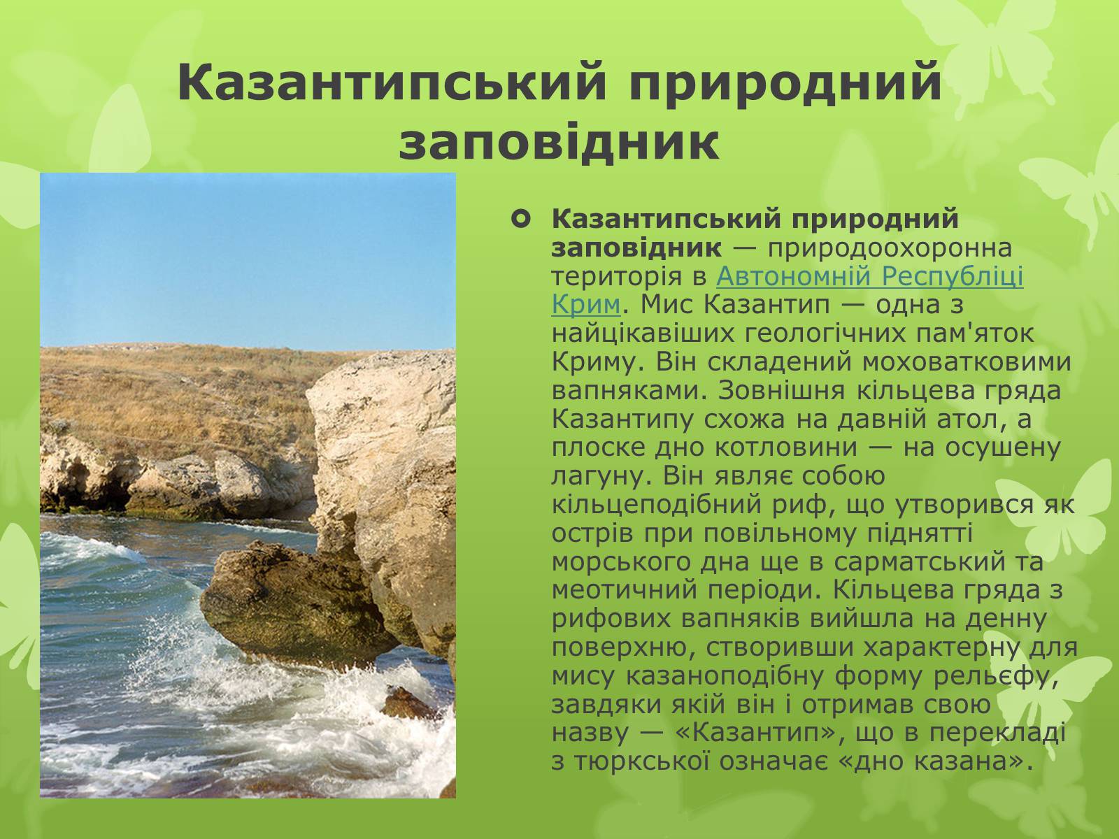 Презентація на тему «Природні заповідники України» (варіант 1) - Слайд #6