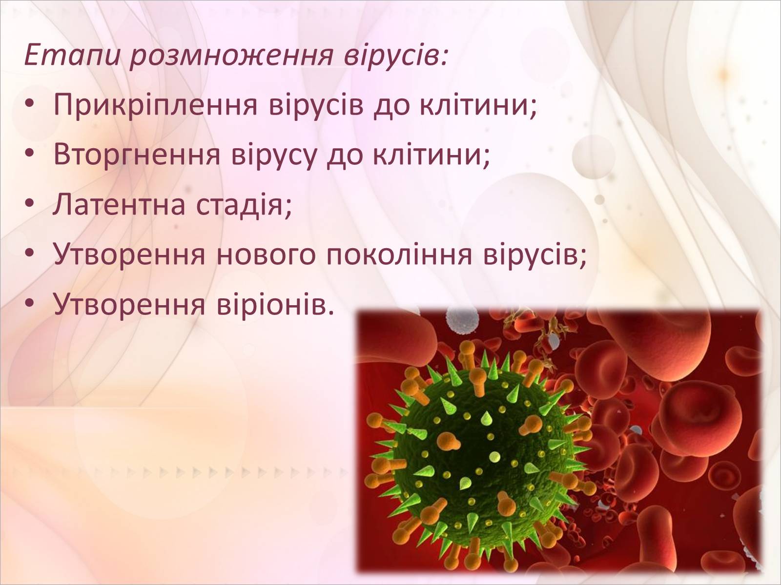 Презентація на тему «Віруси» (варіант 17) - Слайд #4