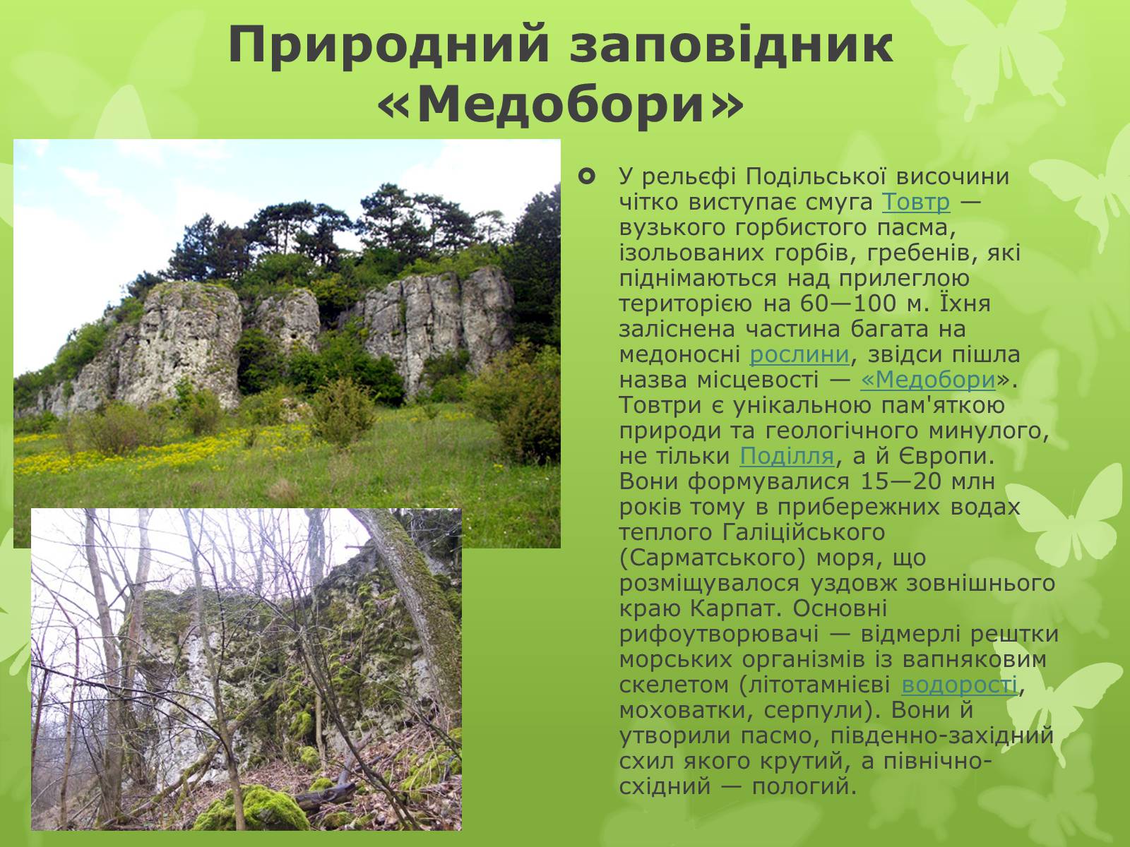 Презентація на тему «Природні заповідники України» (варіант 1) - Слайд #8