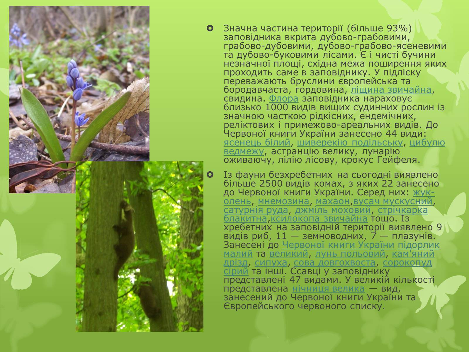 Презентація на тему «Природні заповідники України» (варіант 1) - Слайд #9