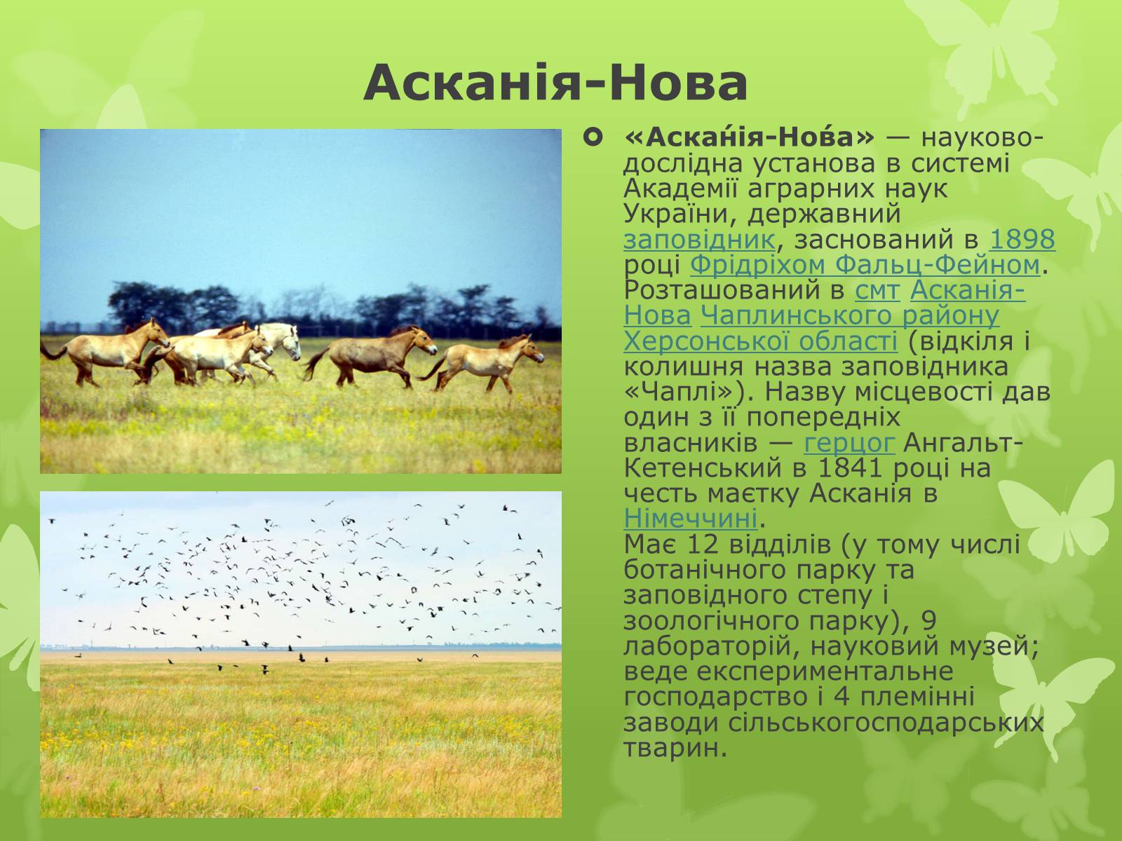 Презентація на тему «Природні заповідники України» (варіант 1) - Слайд #10